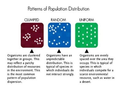 diagram the different population distributions in the boxes below|what is population distribution.